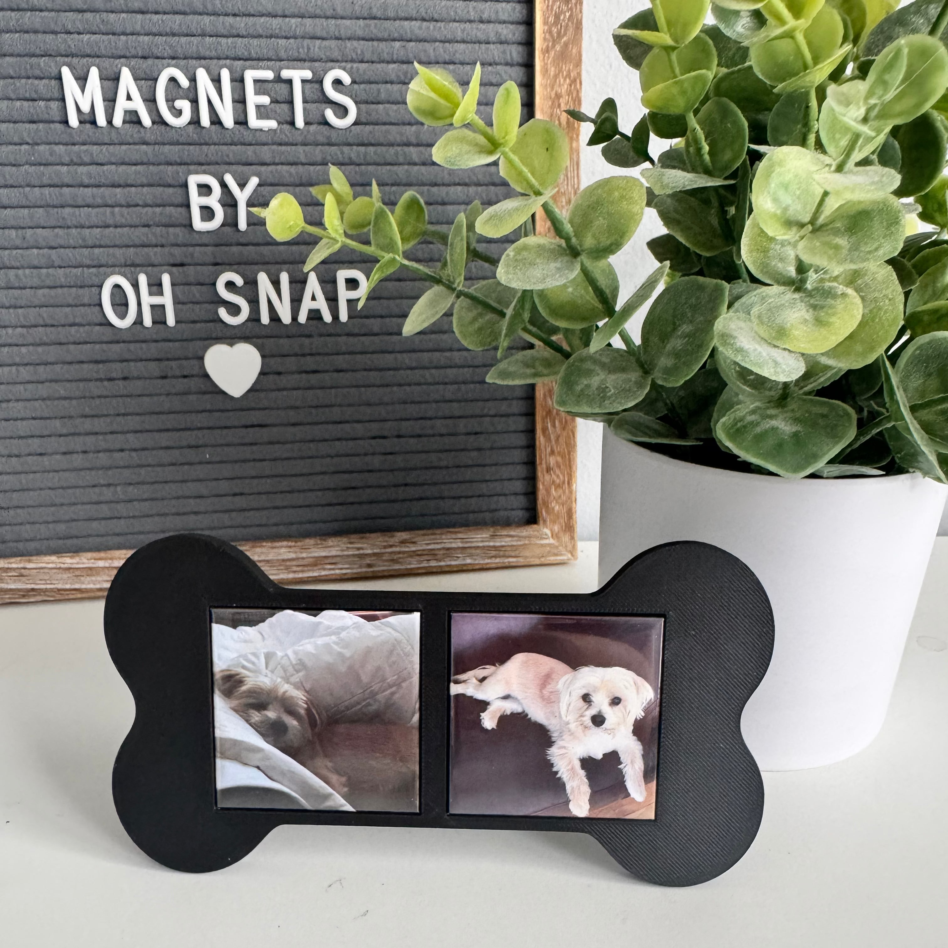 Dog Bone Frame