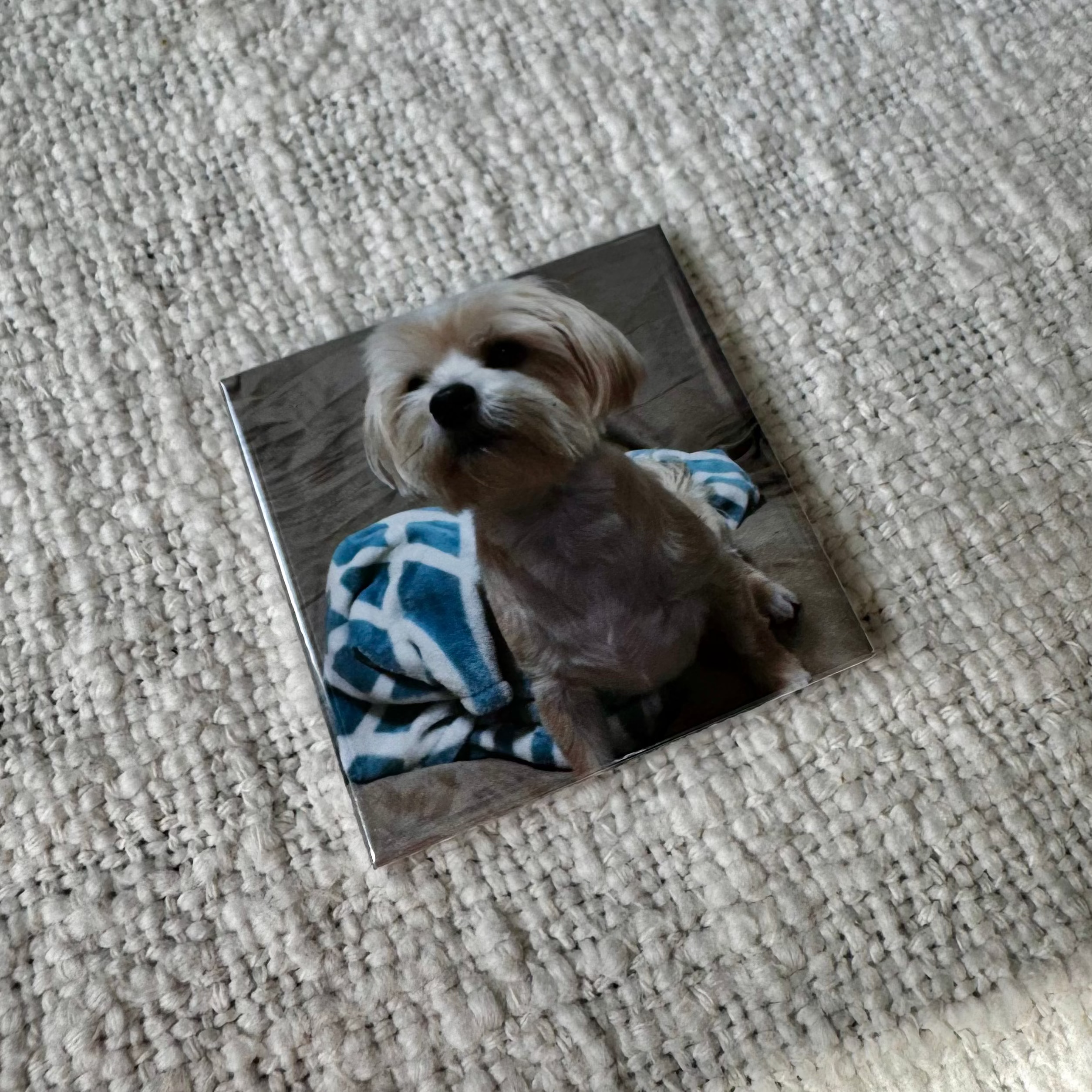 1 Custom Magnet