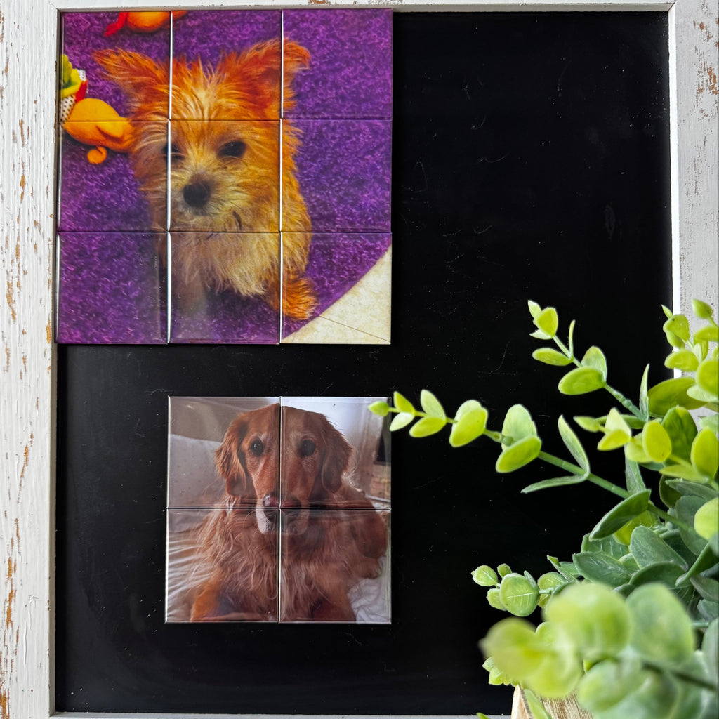 Photo Magnet Mosaic