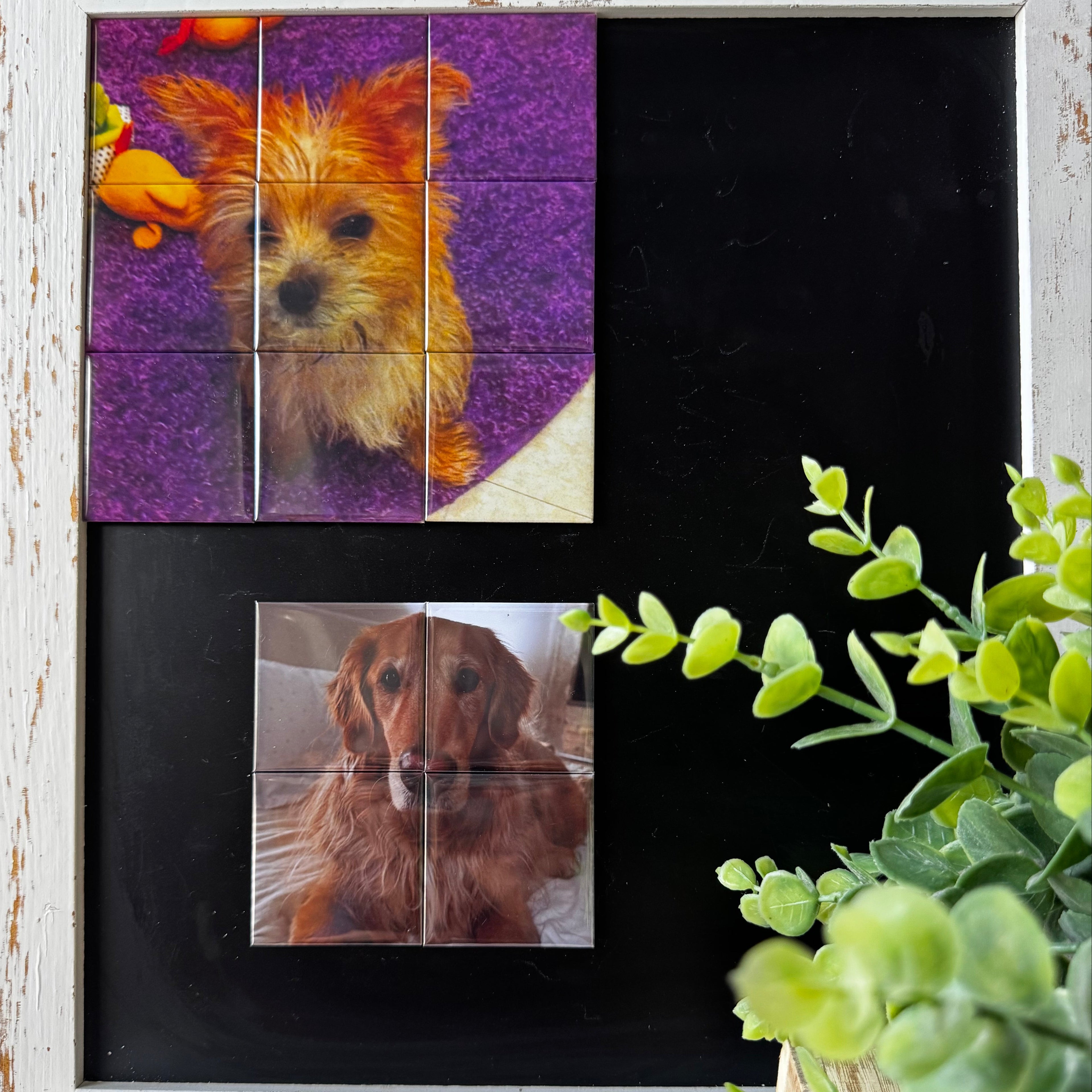 Photo Magnet Mosaic