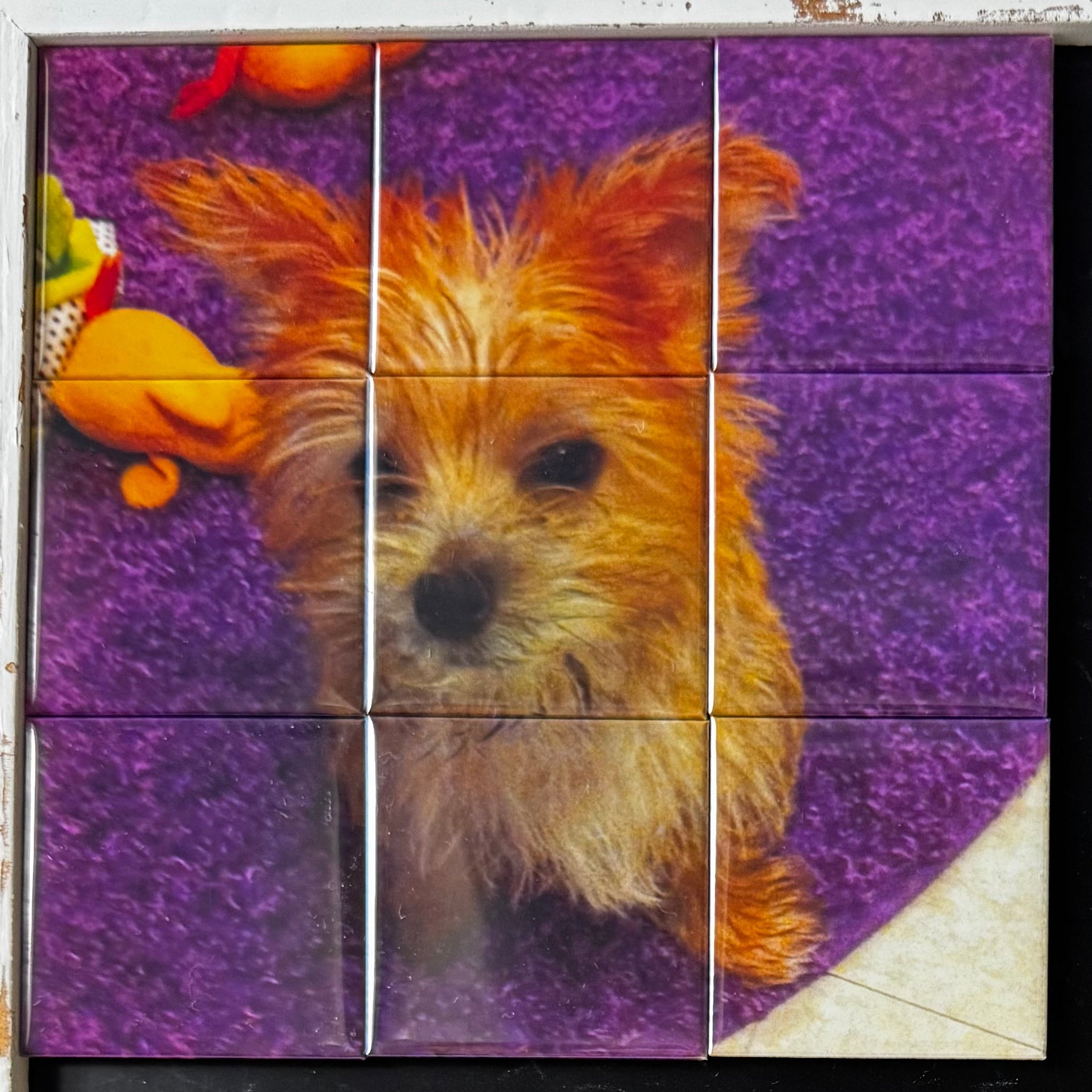 Photo Magnet Mosaic