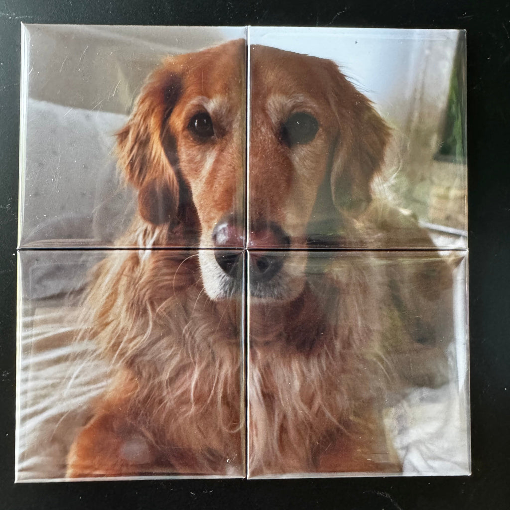Photo Magnet Mosaic